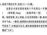 2019-2020学年八年级语文上册第一单元3飞天凌空——跳水姑娘吕伟夺魁记习题课件