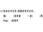 2019-2020学年八年级语文上册第一单元3飞天凌空——跳水姑娘吕伟夺魁记习题课件