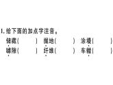 2019-2020学年八年级语文上册第五单元20蝉习题课件