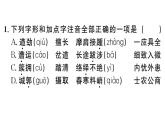 2019-2020学年（新人教版）八年级语文上册第五单元21梦回繁华习题课件