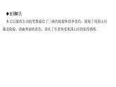 （新人教版）八年级语文上册第三单元10三峡习题课件