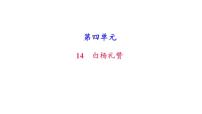 人教部编版八年级上册14 白杨礼赞一等奖习题课件ppt