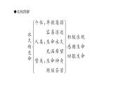 （新人教版）八年级语文上册第四单元16散文二篇习题课件