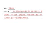 （新人教版）八年级语文上册第四单元综合性学习我们的互联网时代习题课件
