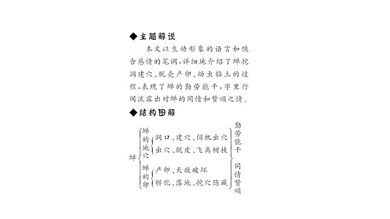 （新人教版）八年级语文上册第五单元20蝉习题课件第4页