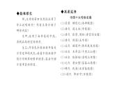 （新人教版）八年级语文上册第五单元21梦回繁华习题课件