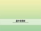 2020秋八年級(jí)語文上冊(cè)第三單元課外古詩(shī)詞誦讀1庭中有奇樹課件新人教版