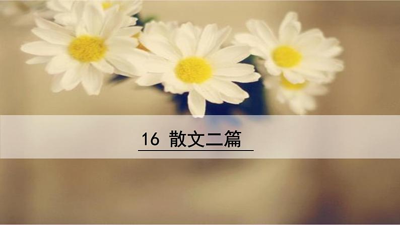 2020秋八年级语文上册第四单元16散文二篇课件新人教版02