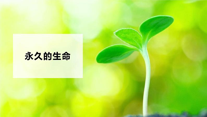 2020秋八年级语文上册第四单元16散文二篇课件新人教版04