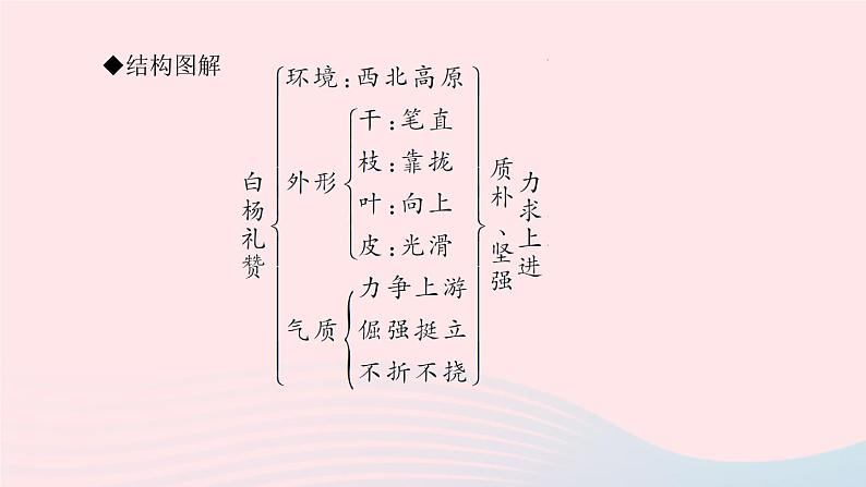 八年级语文上册第四单元15白杨礼赞习题课件新人教版05