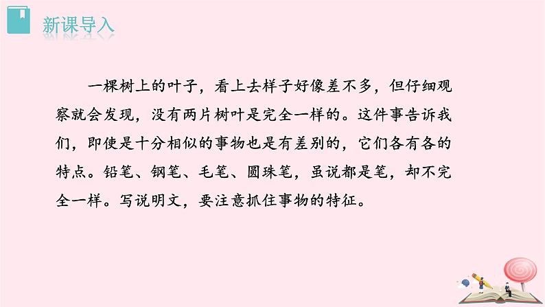 八年级语文上册第五单元写作说明事物要抓住特征课件新人教版02