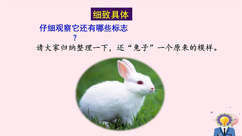 八年级语文上册第五单元写作说明事物要抓住特征课件新人教版05