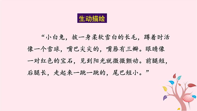 八年级语文上册第五单元写作说明事物要抓住特征课件新人教版07