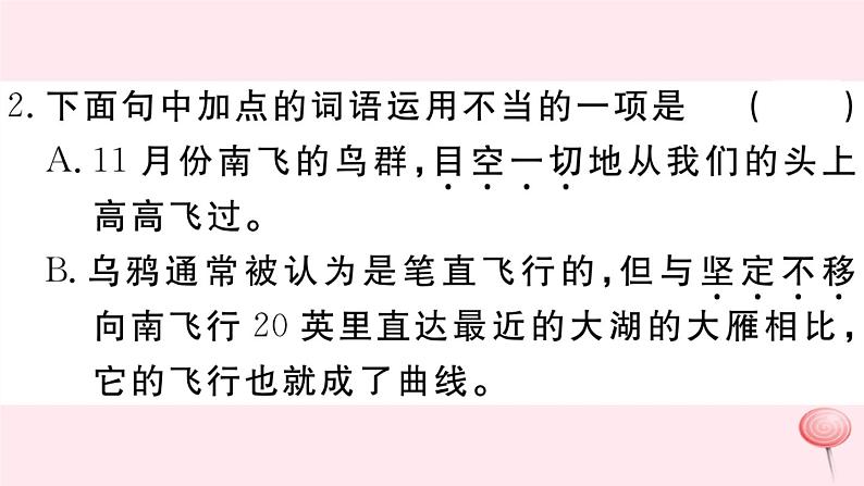 （江西专版）八年级语文下册第二单元7大雁归来习题课件新人教版第3页