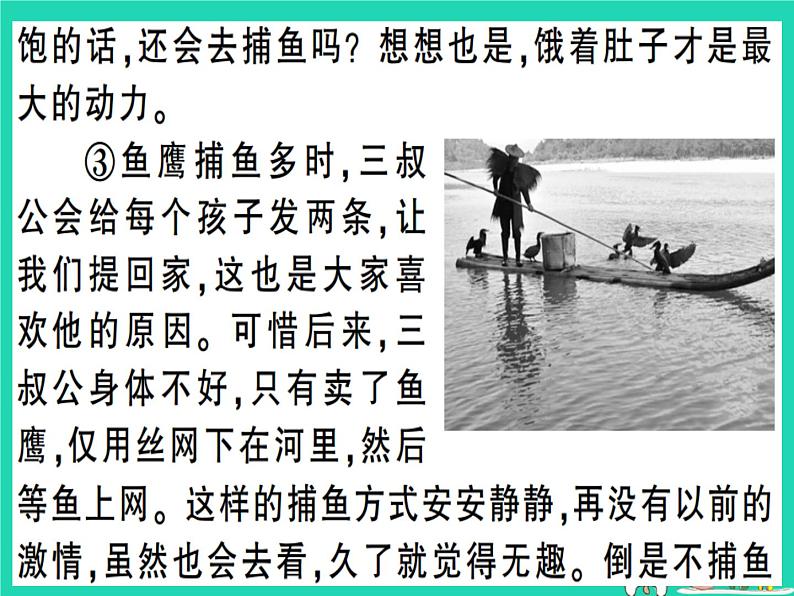 安徽专版2019春八年级语文下册专题复习六记叙文阅读习题课件新人教第4页