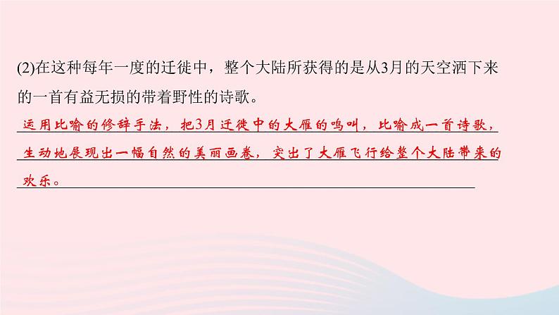 八年级语文下册第二单元7大雁归来习题课件新人教版第8页