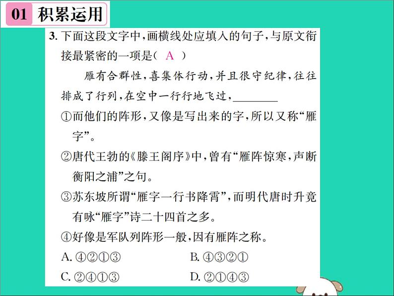 八年级语文下册第二单元7大雁归来课件新人教版第4页