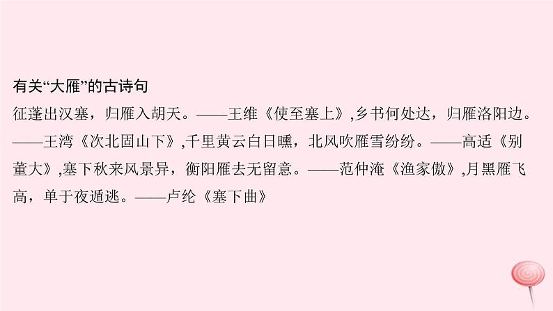 八年级语文下册第二单元7大雁归来习题课件新人教版 (1)第3页