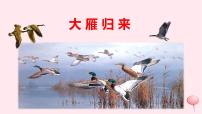 语文八年级下册7*大雁归来课堂教学课件ppt