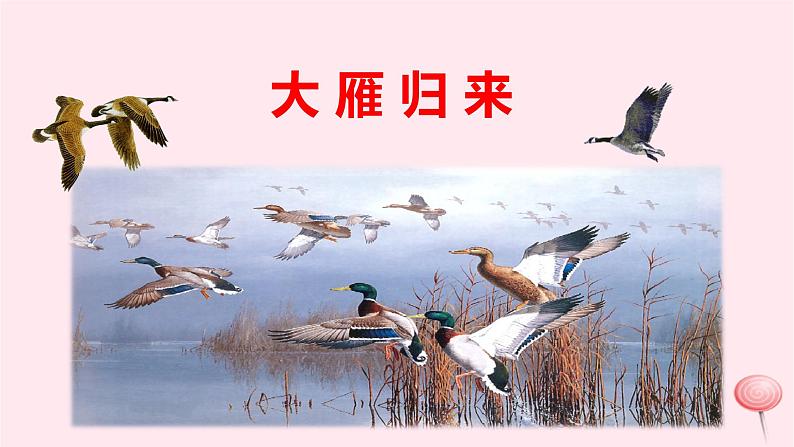 八年级语文下册第二单元7《大雁归来》课件新人教版第1页