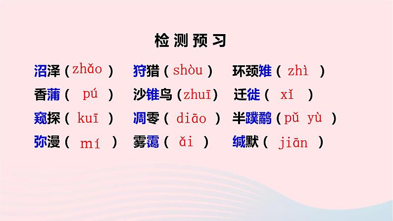 八年级语文下册第二单元7《大雁归来》课件新人教版第4页