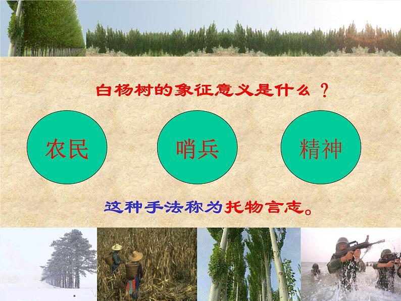 八年级上语文课件《白杨礼赞》  人教版（2016部编版） (1)04