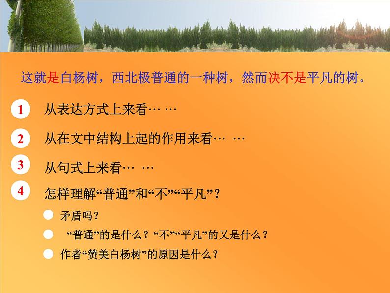 八年级上语文课件《白杨礼赞》  人教版（2016部编版） (1)05