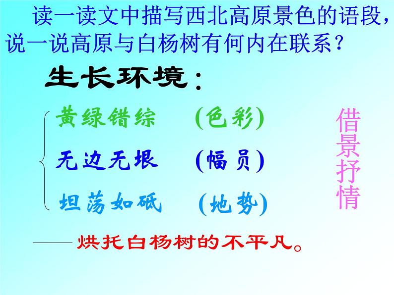 八年级上语文课件《白杨礼赞》  人教版（2016部编版） (3)07