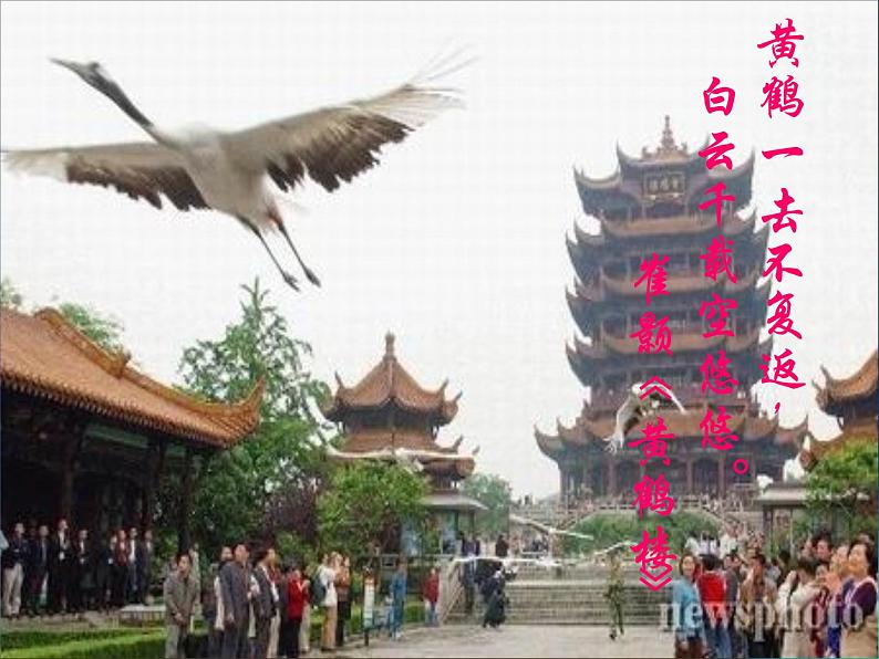 八年级上语文课件《黄鹤楼》  人教版（2016部编版） (4)02