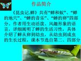八年级上语文课件《蝉》  人教版（2016部编版） (3)