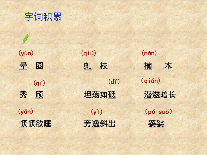 八年级上语文课件《白杨礼赞》  人教版（2016部编版） (6)07