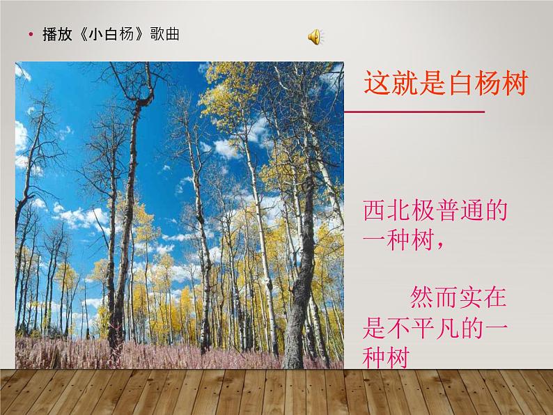 八年级上语文课件《白杨礼赞》  人教版（2016部编版） (9)03