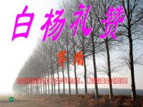 初中人教部编版14 白杨礼赞背景图课件ppt