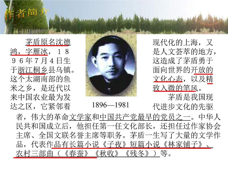 八年级上语文课件《白杨礼赞》  人教版（2016部编版） (8)03