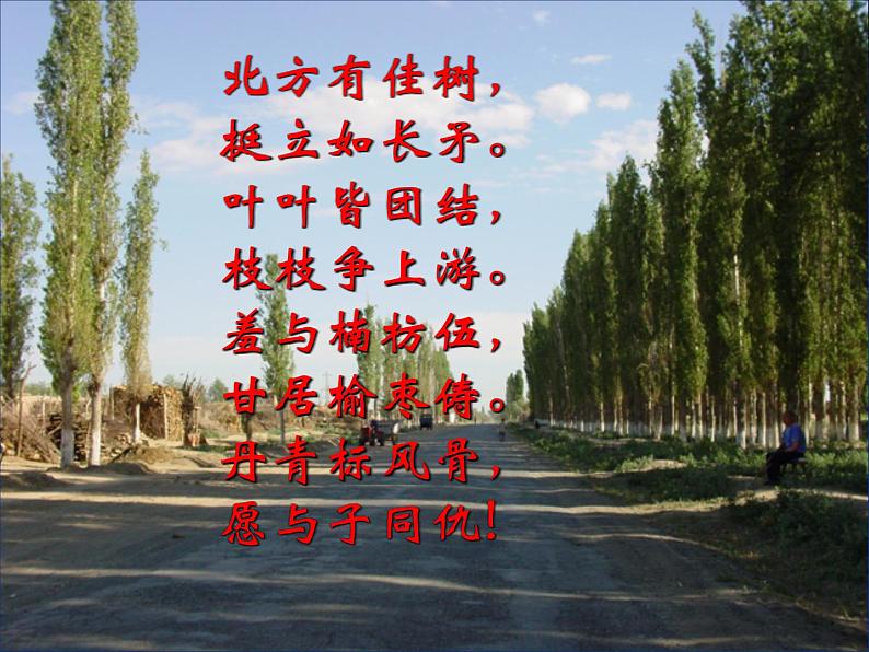 八年级上语文课件《白杨礼赞》  人教版（2016部编版） (2)01
