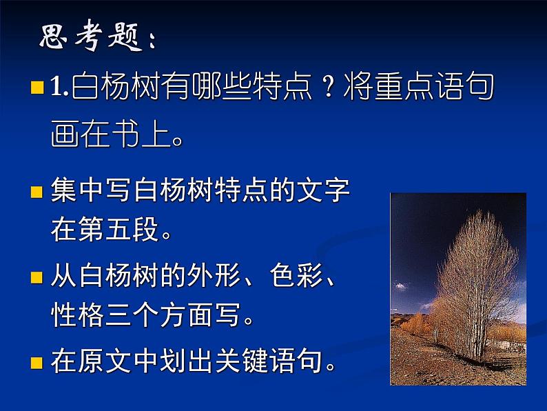 八年级上语文课件《白杨礼赞》  人教版（2016部编版） (2)08