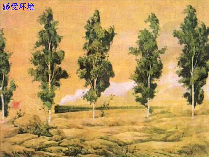 八年级上语文课件《白杨礼赞》  人教版（2016部编版） (10)04