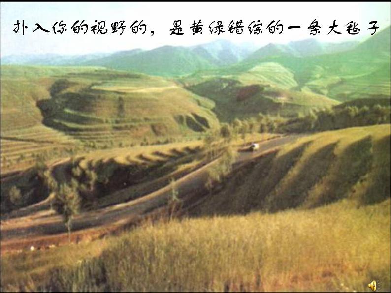 八年级上语文课件《白杨礼赞》  人教版（2016部编版） (10)05