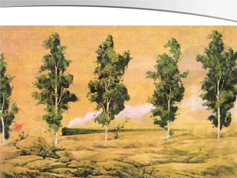 八年级上语文课件《白杨礼赞》  人教版（2016部编版） (10)08