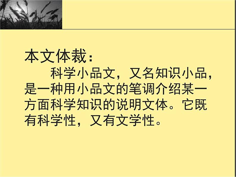 八年级上语文课件《蝉》  人教版（2016部编版） (2)06