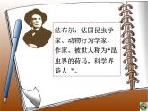 八年级上语文课件《蝉》  人教版（2016部编版） (8)