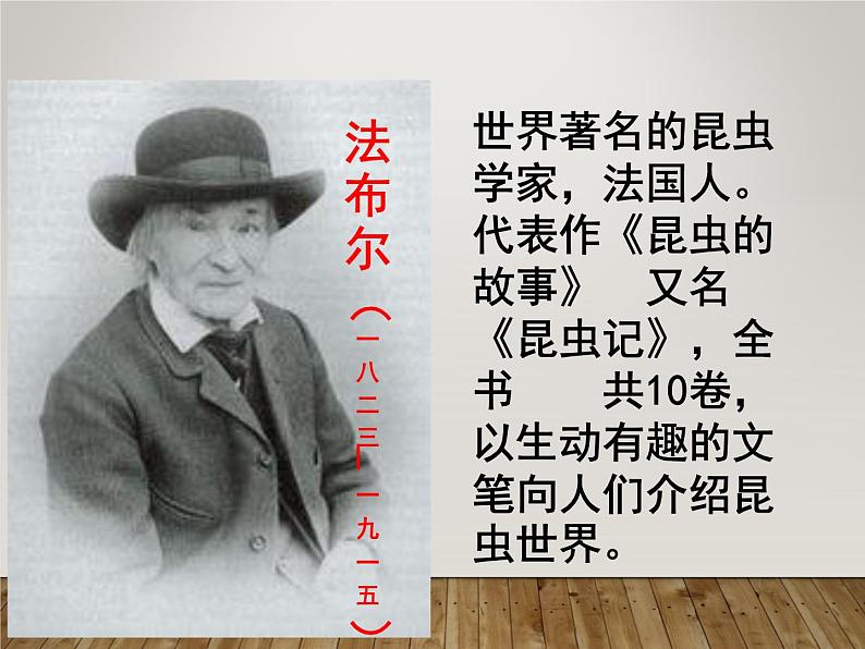 八年级上语文课件《蝉》  人教版（2016部编版） (7)04