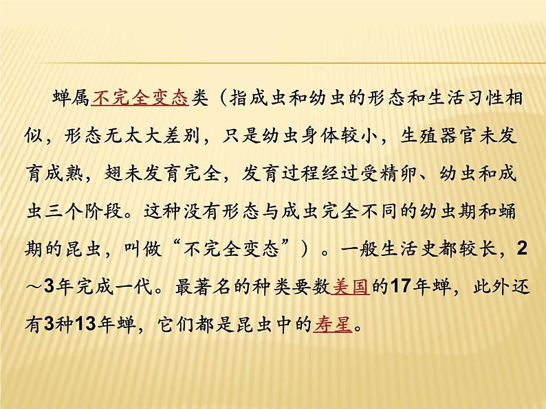 八年级上语文课件《蝉》  人教版（2016部编版） (1)03
