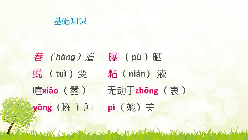 八年级上语文课件《蝉》  人教版（2016部编版） (5)07