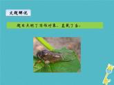 八年级上语文课件《蝉》  人教版（2016部编版） (4)