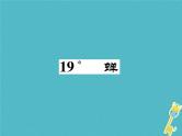 八年级上语文课件《蝉》  人教版（2016部编版） (6)