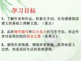 八年级上语文课件《昆明的雨》  人教版（2016部编版） (8)