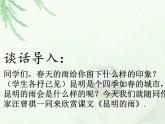 八年级上语文课件《昆明的雨》  人教版（2016部编版） (8)