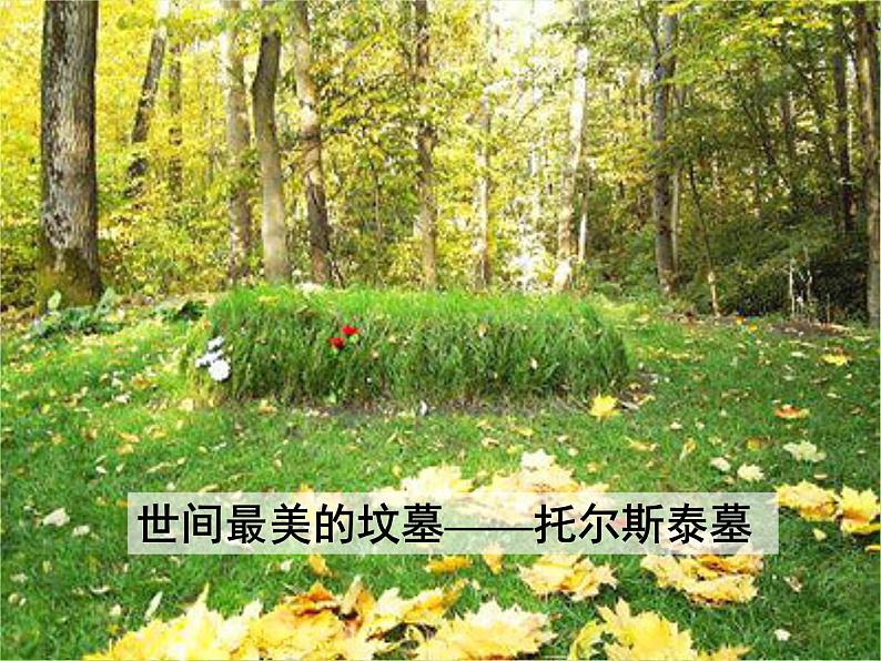 八年级上语文课件《列夫托尔斯泰》  人教版（2016部编版） (2)02