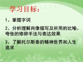 八年级上语文课件《列夫托尔斯泰》  人教版（2016部编版） (2)